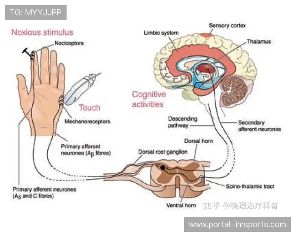 运动数据反馈机制优化,帮助用户理解并改进锻炼效果 运动数据反馈机制优化,帮助用户理解并改进锻炼效果
